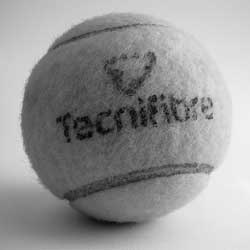 【Windows电脑版】完整安装的手机号测压网页